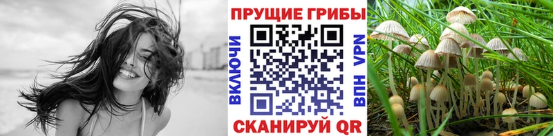 Купить закладки  Агрыз  Галлюциногенные грибы Psilocybe 